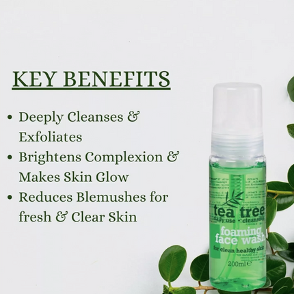 Tea Tree Foaming Face Wash 200ML x 6