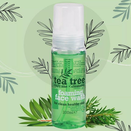 Tea Tree Foaming Face Wash 200ML x 6